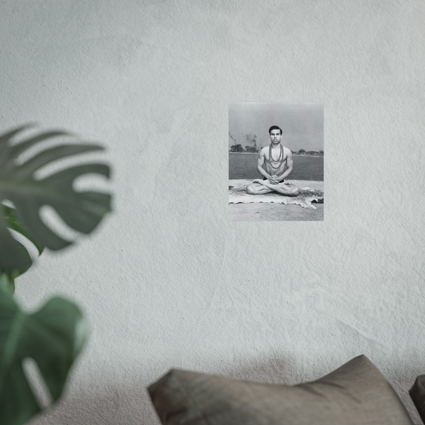 Fine Art Posters